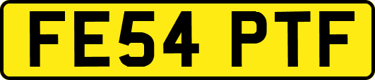 FE54PTF