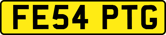 FE54PTG