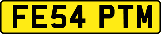 FE54PTM