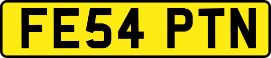 FE54PTN