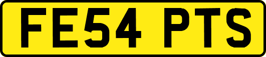 FE54PTS