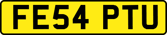 FE54PTU