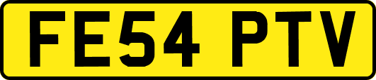 FE54PTV
