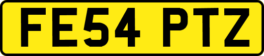 FE54PTZ