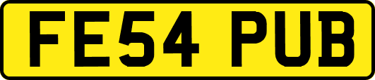 FE54PUB