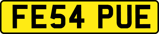 FE54PUE