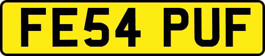 FE54PUF