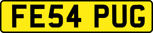 FE54PUG