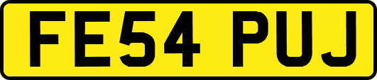 FE54PUJ