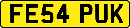 FE54PUK