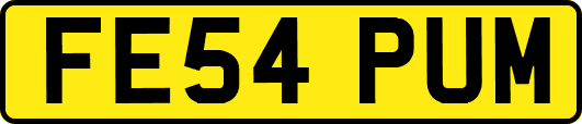 FE54PUM