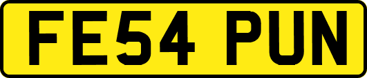 FE54PUN