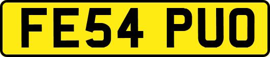 FE54PUO
