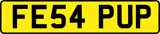 FE54PUP