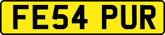 FE54PUR