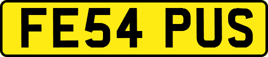 FE54PUS