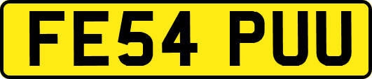 FE54PUU