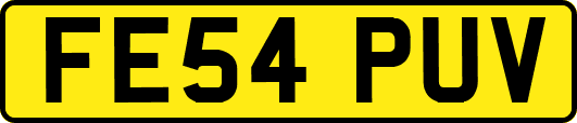 FE54PUV