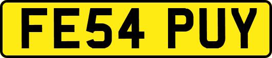FE54PUY