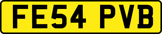 FE54PVB