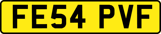 FE54PVF