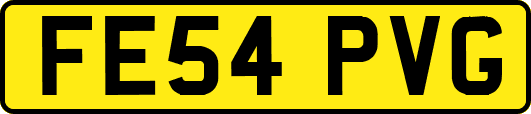 FE54PVG