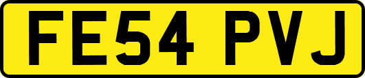 FE54PVJ