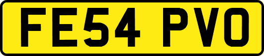 FE54PVO