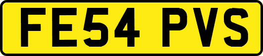 FE54PVS