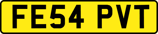 FE54PVT
