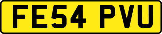 FE54PVU