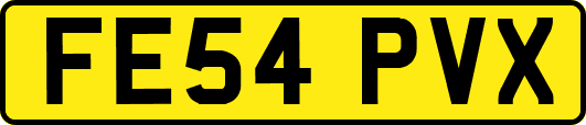 FE54PVX