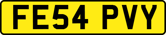 FE54PVY
