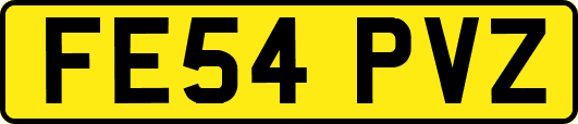 FE54PVZ