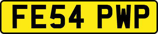 FE54PWP