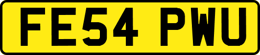 FE54PWU