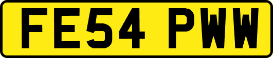FE54PWW