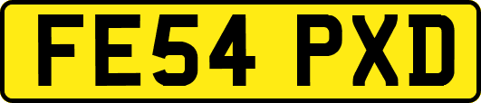 FE54PXD
