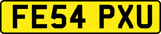 FE54PXU