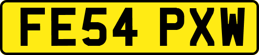 FE54PXW