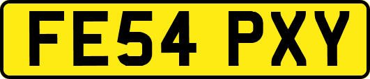 FE54PXY