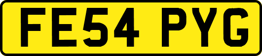 FE54PYG