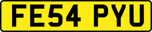 FE54PYU