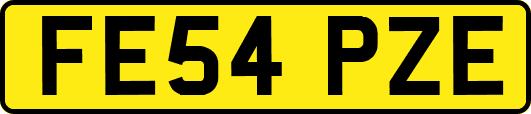 FE54PZE