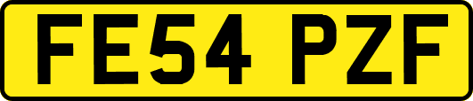 FE54PZF