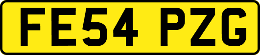 FE54PZG