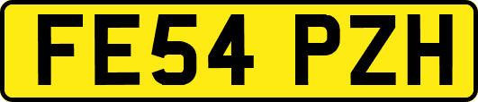 FE54PZH