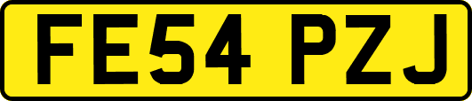 FE54PZJ