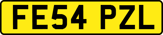 FE54PZL