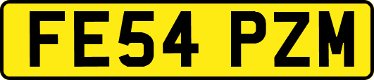 FE54PZM